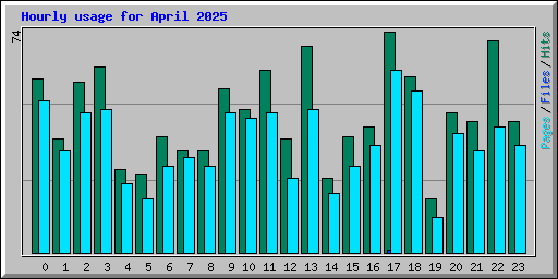 Hourly usage for April 2025