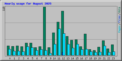 Hourly usage for August 2025